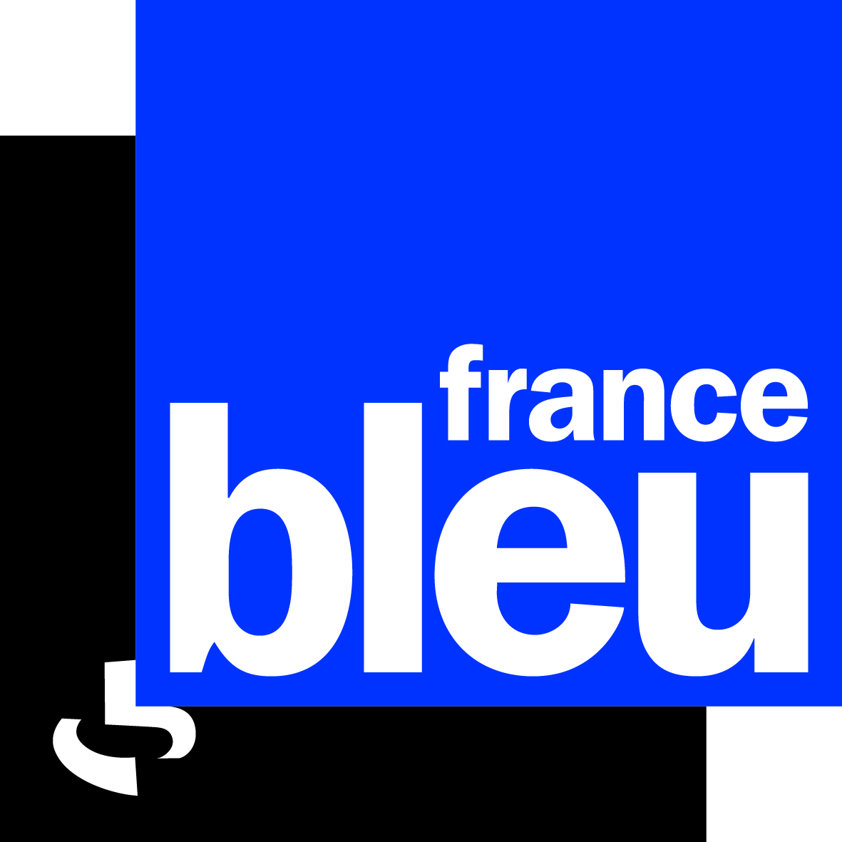 LOGO-FRANCE-BLEU.jpg